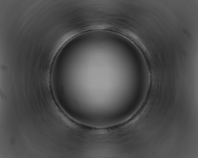 X0000090971186200708021430