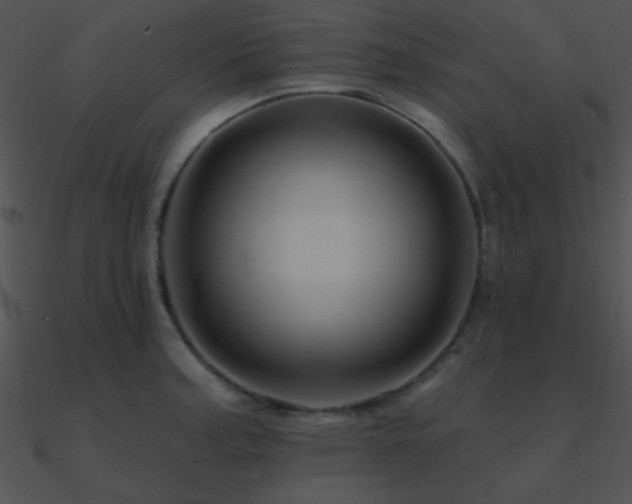 X0000090971187200708021430