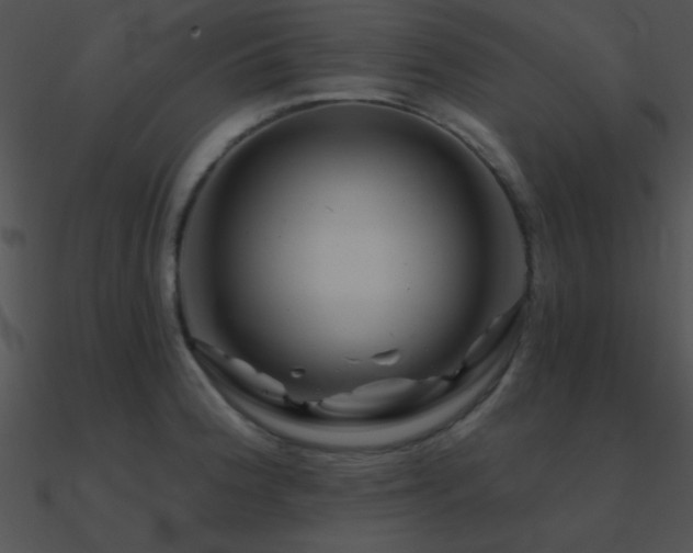 X0000090971188200708021430