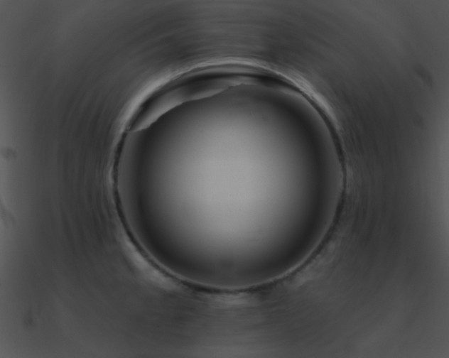 X0000090971189200708021430