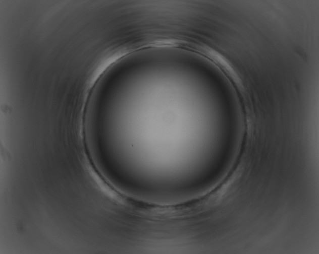 X0000090971194200708021430