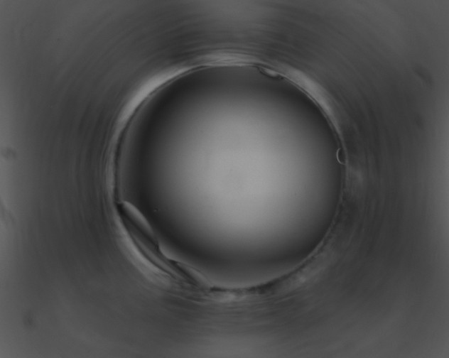 X0000090971195200708021430