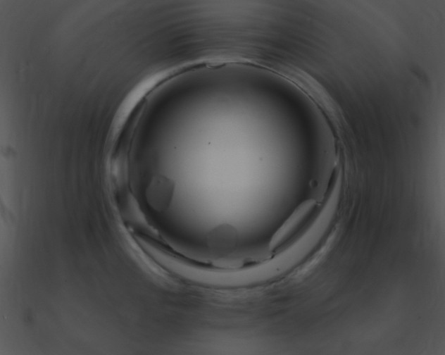 X0000090971196200708021430