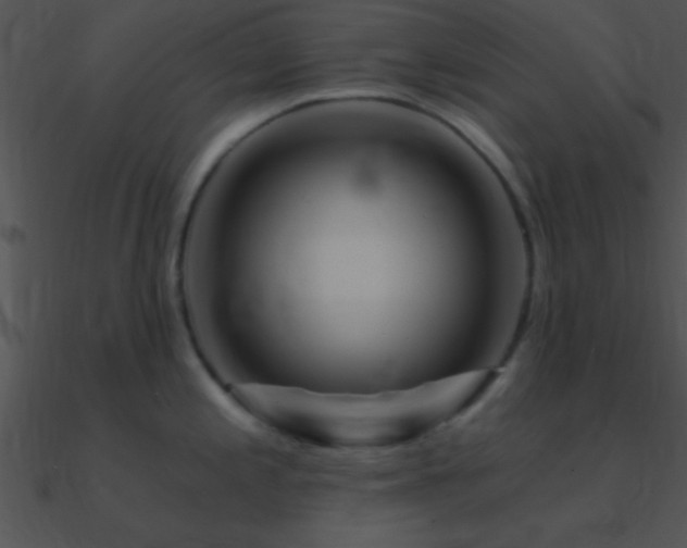 X0000090971197200708021430