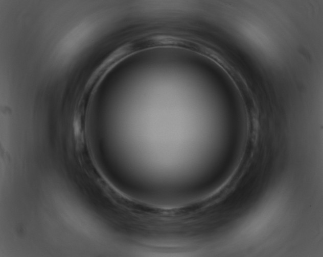 X0000090971198200708021430