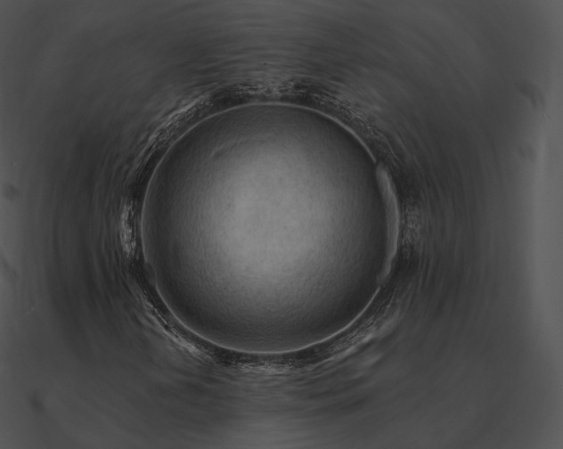 X0000090971202200708021430