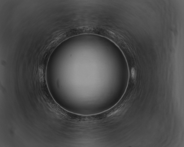 X0000090971203200708021430