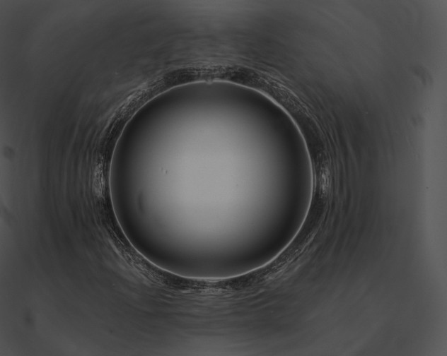 X0000090971204200708021430