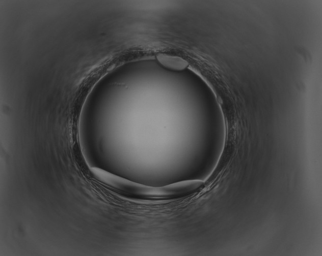 X0000090971205200708021430