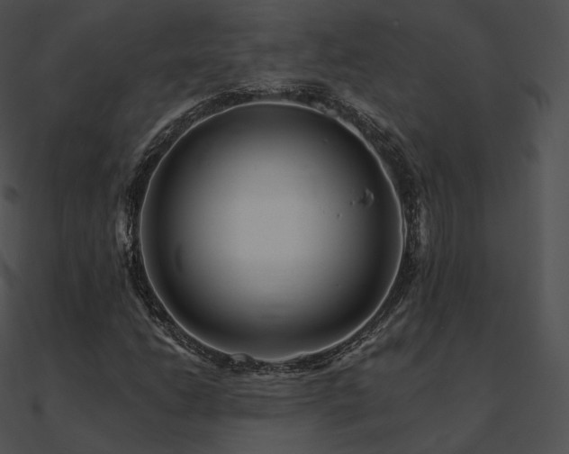 X0000090971206200708021430