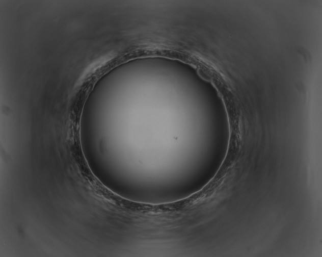 X0000090971207200708021430