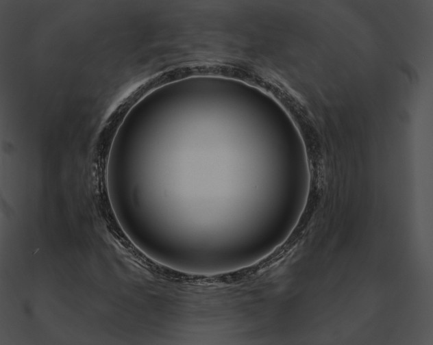 X0000090971208200708021430