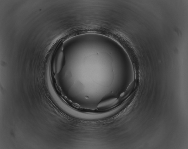 X0000090971210200708021430