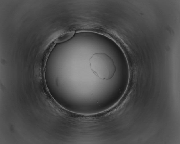 X0000090971211200708021430