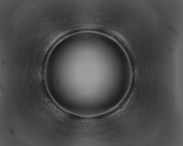 X0000090971212200708021430