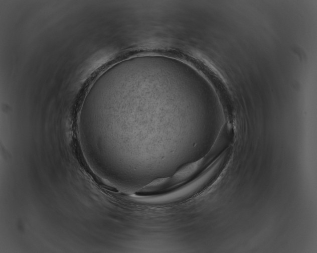 X0000090971213200708021430