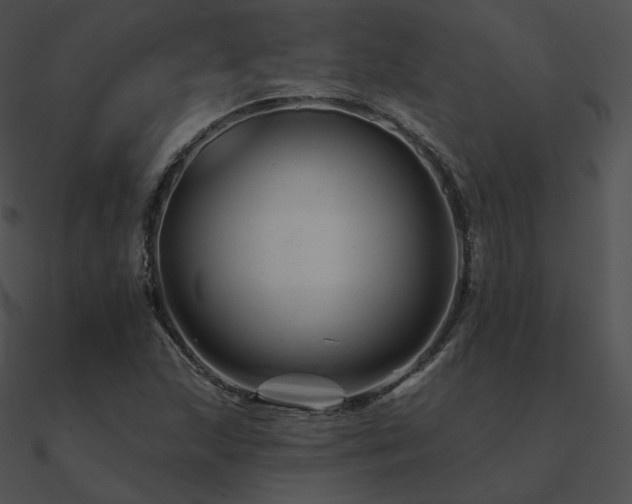 X0000090971215200708021430