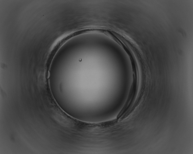 X0000090971222200708021430