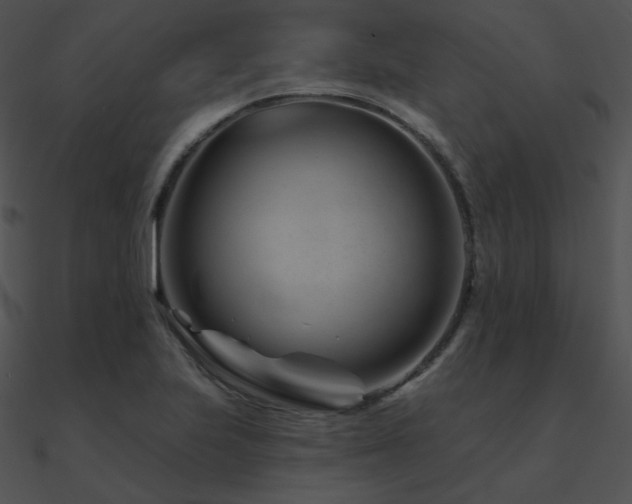 X0000090971223200708021430