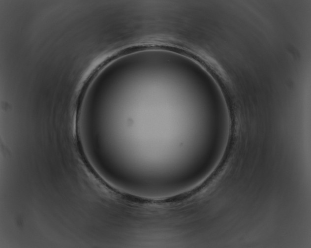 X0000090971224200708021430