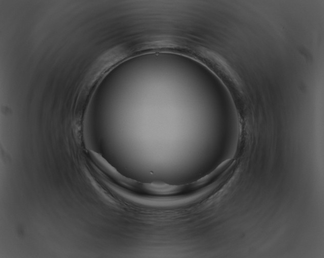 X0000090971225200708021430