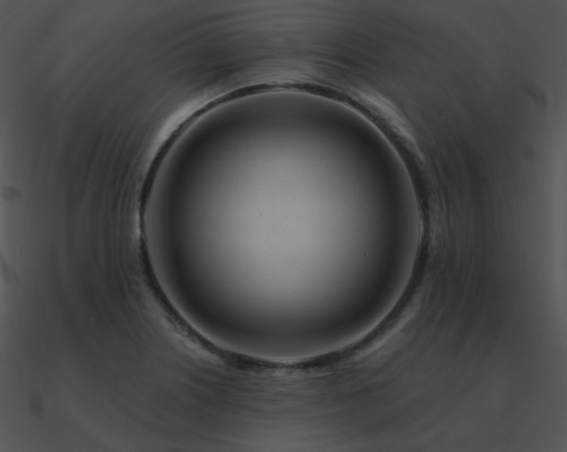 X0000090971226200708021430