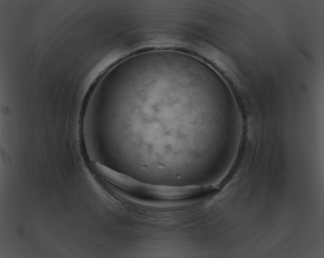 X0000090971229200708021430