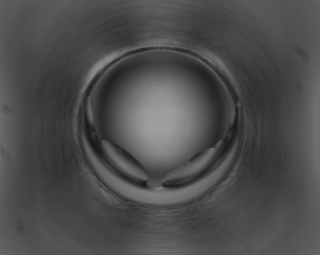 X0000090971230200708021430