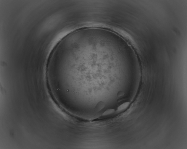 X0000090971231200708021430