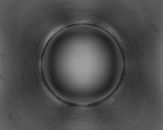 X0000090971234200708021430