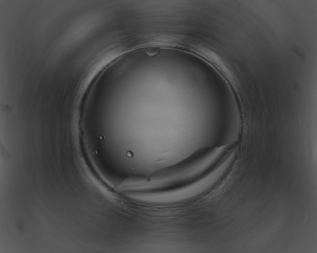 X0000090971235200708021430