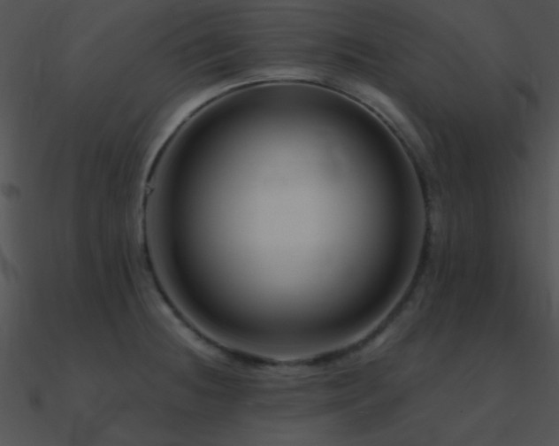 X0000090971236200708021430