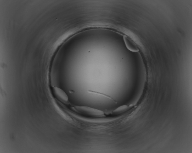 X0000090971237200708021430