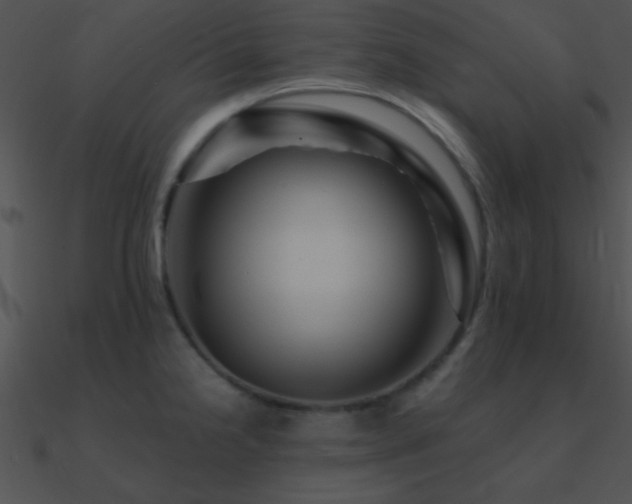 X0000090971238200708021430