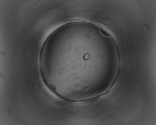 X0000090971239200708021430