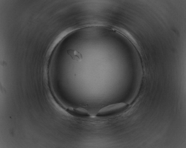 X0000090971243200708021430