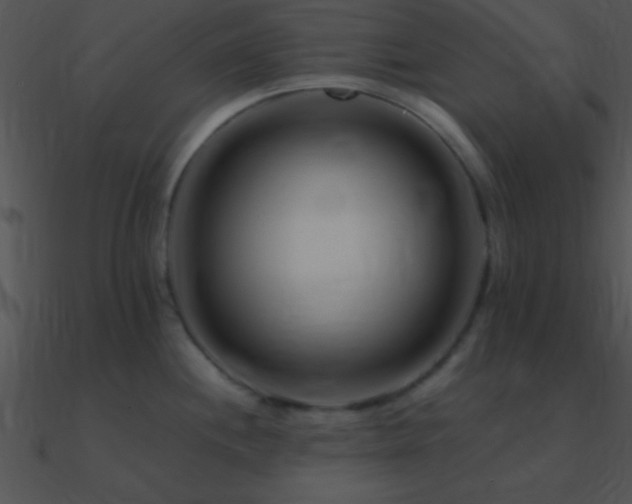 X0000090971244200708021430