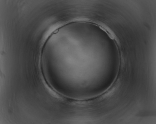 X0000090971245200708021430