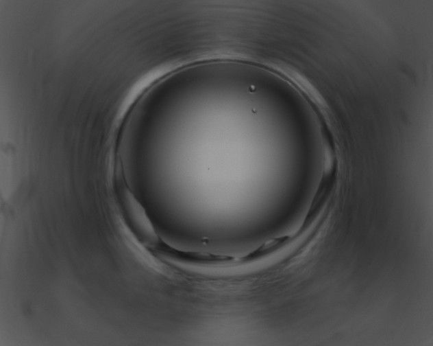 X0000090971246200708021430