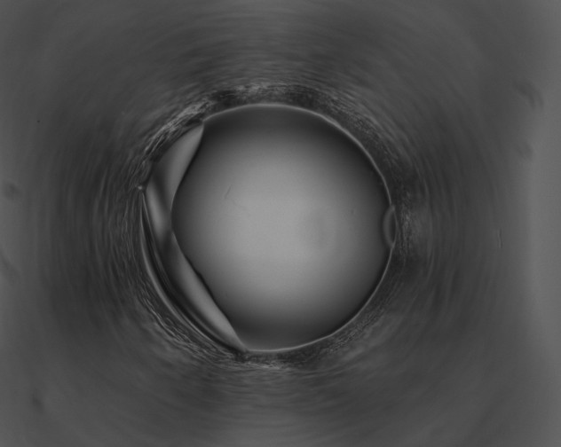 X0000090971250200708021430