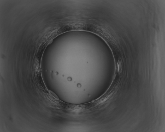 X0000090971251200708021430