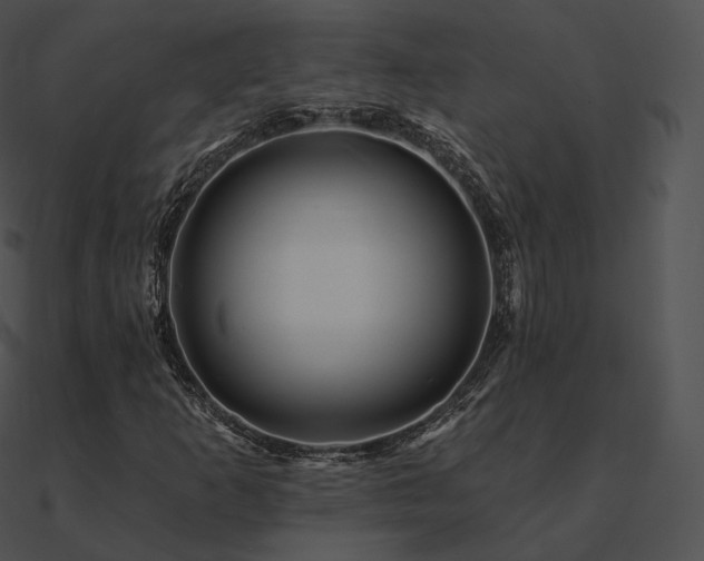 X0000090971253200708021430