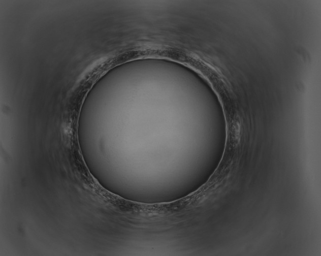 X0000090971254200708021430