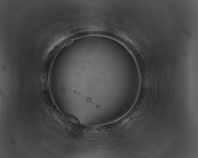 X0000090971255200708021430