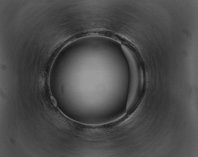 X0000090971257200708021430