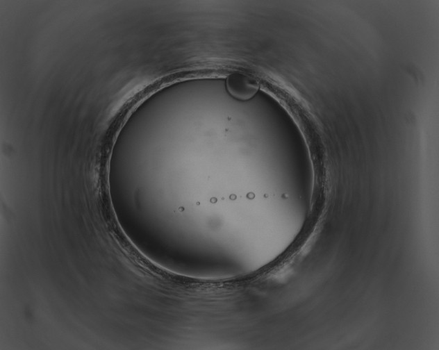 X0000090971259200708021429