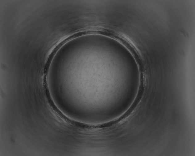 X0000090971260200708021429