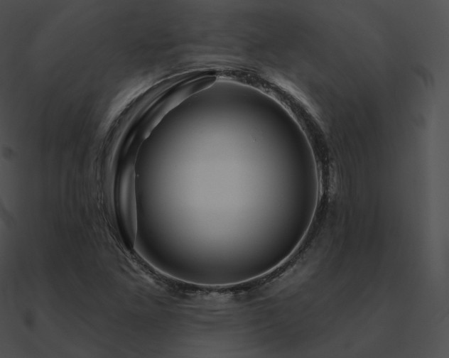 X0000090971261200708021429