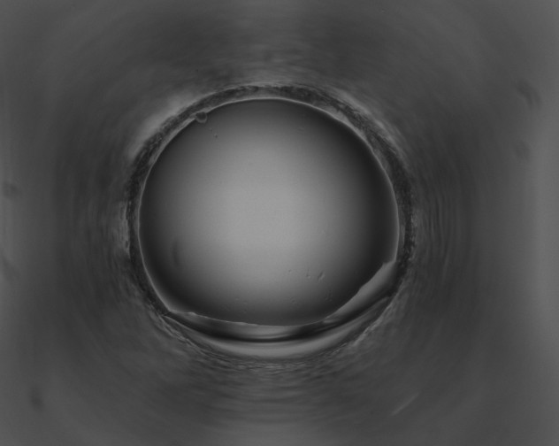 X0000090971262200708021429