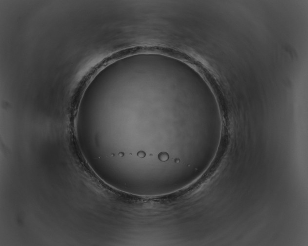 X0000090971263200708021429